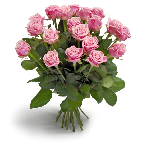 opgroeien Zo snel als een flits Ideaal Roze rozen sturen op valentijnsdag | Leukboeket